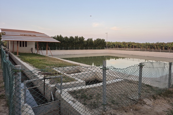 Drip irrigation system